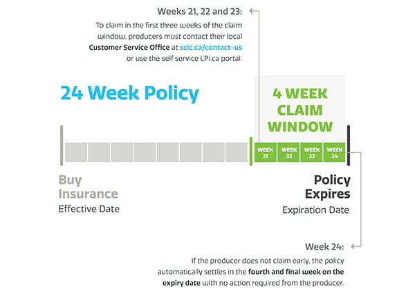 The claim window for LPI is in the last four weeks of the policy