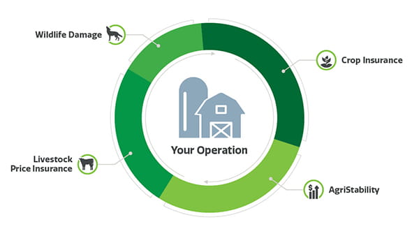 Your operation is fully covered between wildlife damage, crop insurance, AgriStability and livestock price insurance