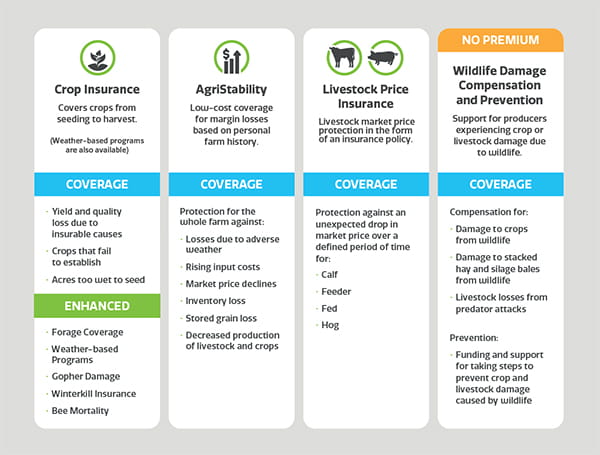 SCIC coverage includes crop insurance, AgriStability, livestock price insurance and wildlife damage compensation and prevention