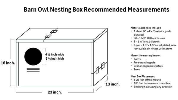 Measurements and materials needed to build a barn owl nesting box. Includes what to mount the nesting box on and the guidelines of box placing.