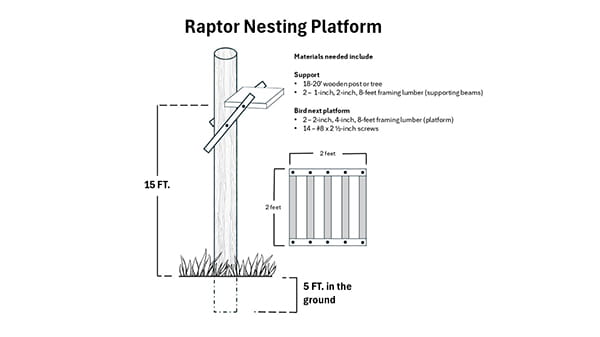 Measurements and materials needed to build a raptor nesting platform.