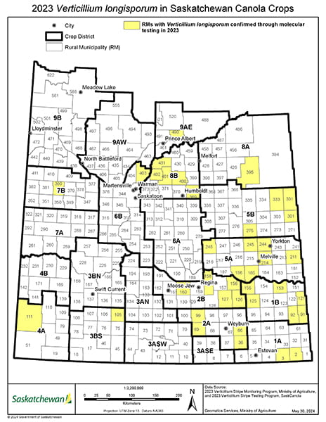 Verticillium longisporum findings in Saskatchewan canola crops in 2023 shown at Rural Municipality (RM) level (data from verticillium stripe monitoring program, Ministry of Agriculture, and verticillium stripe testing program, SaskCanola).