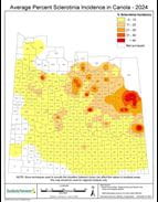 The 2024 Sclerotinia incidence in canola map 