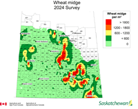 Wheat Midge Map where populations were significantly increased compared to 2023