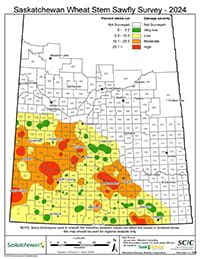 2024 Wheat Stem Sawfly map