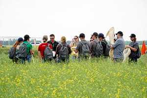 People standing in canola field during 2023 Crop Diagnostic School