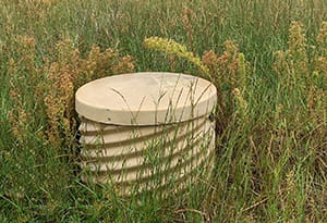 Water well in pasture