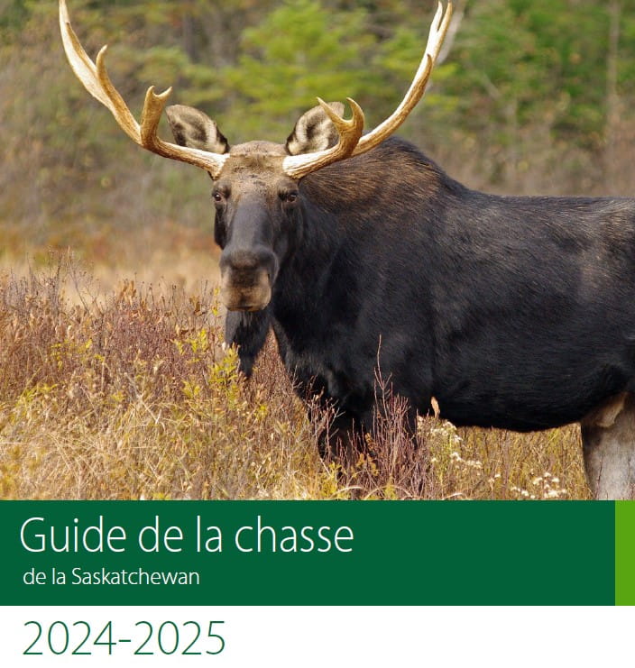 un orignal sur la couverture du Guide de la chasse 2024 Saskatchewan