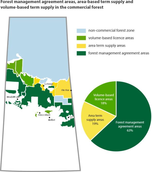 Forest management agreement areas, area-based term supply and volume-based term supply in the commercial forest