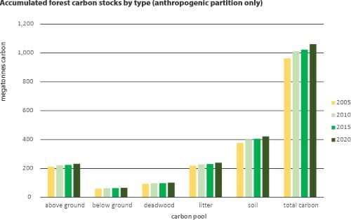 Accumulated forest carbon stocks by type - 2022