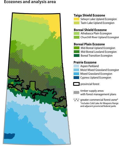 Ecozones and analysis area
