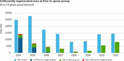 Sufficiently regenerated area at free-to-grow survey