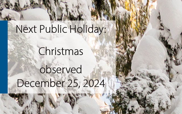 Next Public Holiday: Christmas observed December 25, 2024