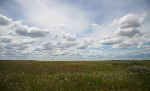 Governments Of Canada And Saskatchewan Join Forces With Ranchers To 