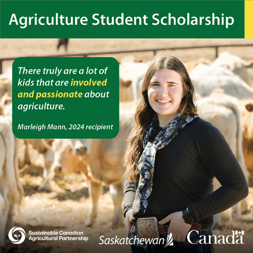 Winner of 2024 Ag Student Scholarship standing near cattle