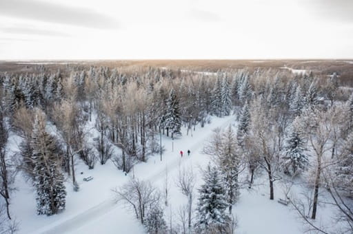 Two people skate on Skate the Park loop in Echo Valley Provincial Park in winter.