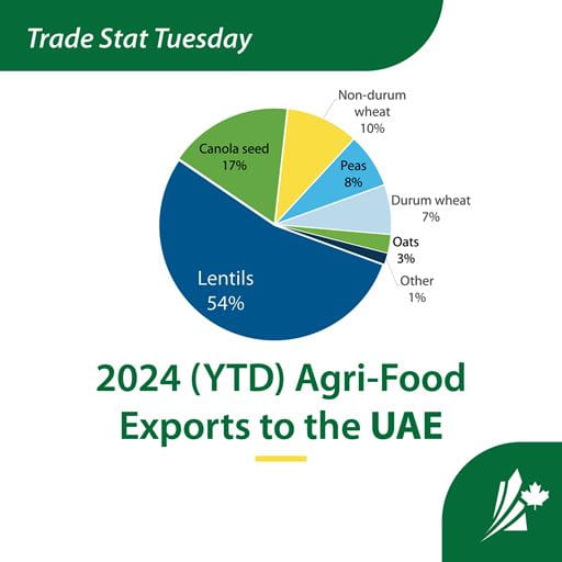 From January to October, Saskatchewan exported $322 million worth of agri-food products to the United Arab Emirates, a 19 per cent increase in value from 2023. The top agri-food products are lentils ($174 million), canola seed ($56 million) and non-durum wheat ($33 million) 