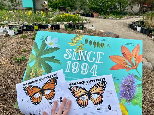 Photo of the RSM garden and  butterfly activity sheet.