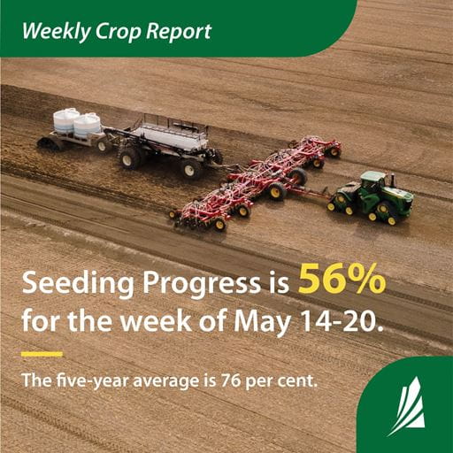 Infographic with a drone shot of a green tractor pulling a red sprayer. States that seeding process in Saskatchewan for the week of May 14-20 is 56 per cent. This is behind the five year average of 76 per cent. 