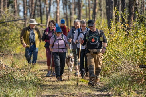 A group of people with walking sticks hike a trail at Meadow Lake Provincial Park.