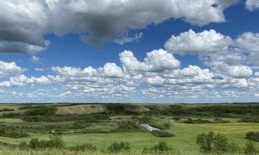 Green valley with rolling hills in the distance, blue sky with white clouds