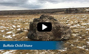 large stone in field